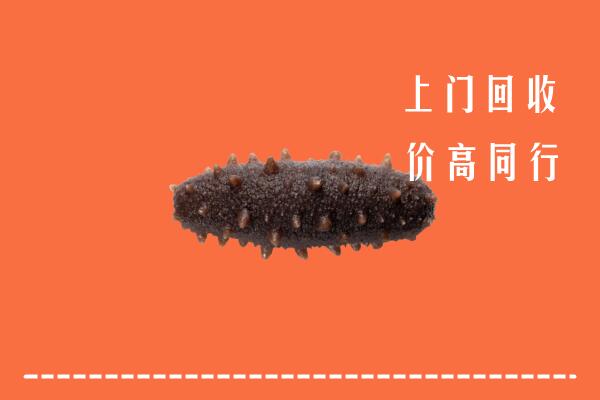 高价求购：山亭区回收海参